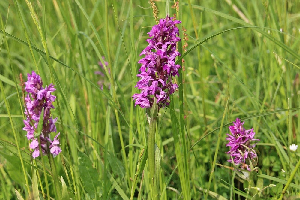 Dokumente A-Z | Landkreis Börde