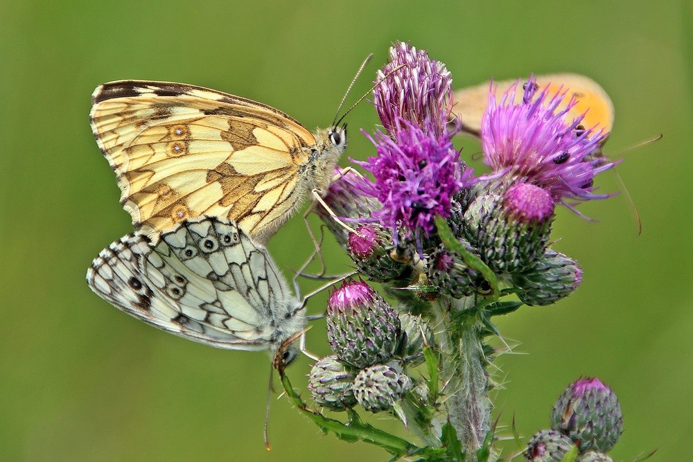 Dokumente A-Z | Landkreis Börde