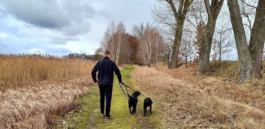 Symbolfoto Landkreis Börde / im Wald gilt bis 15. Juli 2022 das Gebot - Hunde sind an der Leine zu führen / Verstöße können geahndet werden. Hier führt ein Junge zwei Hunde an den Leinen in der Natur aus. 