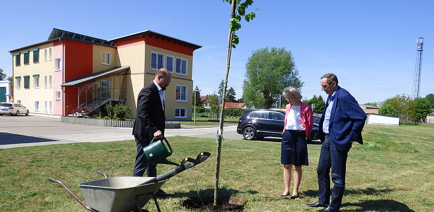 Abwasserzweckverband "Untere Ohre" Haldensleben / auf dem Verbandsgelände steht nun eine Rotbuche. Auf dem Foto sind neben Landrat Martin Stichnoth Haldenslebens amtierende Bürgermeisterin Sabine Wendler und Verbandsgeschäftsführer Achim Grossmann beim pflanzen des Baumes zu sehen. 