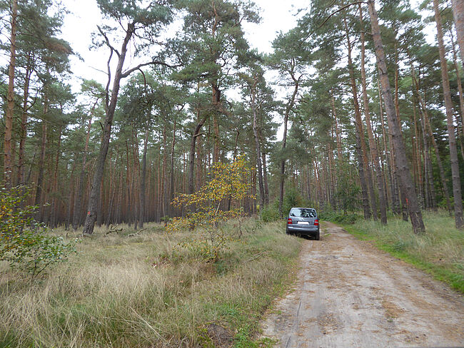 Landkreis Börde / (Foto) ein widerrechtlich im Wald abgestelltes Fahrzeug mit der Auspuffanlage direkt über extrem trockenem Grasbewuchs. Bei Trockenheit besteht eine hohe Waldbrandgefahr.